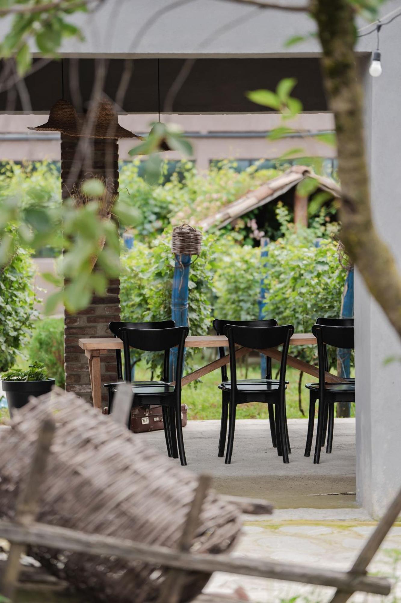 Vineyard Hotel & Winery Napareuli エクステリア 写真