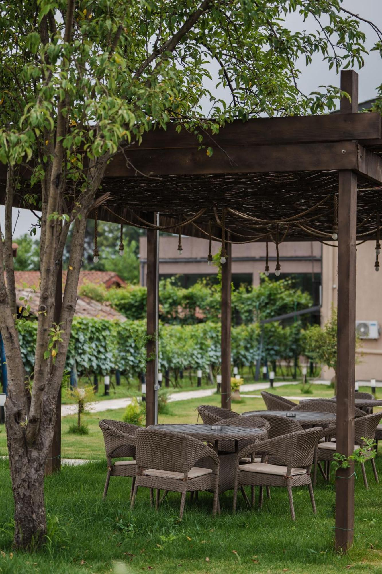 Vineyard Hotel & Winery Napareuli エクステリア 写真
