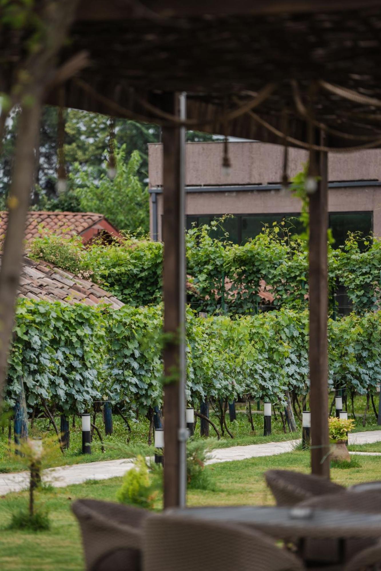 Vineyard Hotel & Winery Napareuli エクステリア 写真