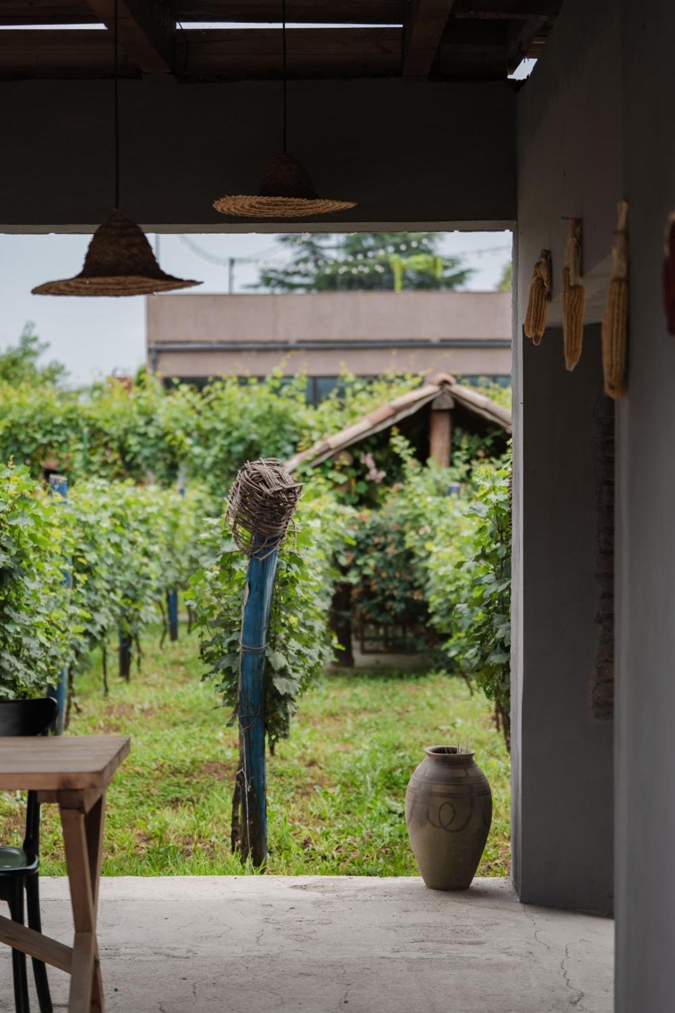 Vineyard Hotel & Winery Napareuli エクステリア 写真
