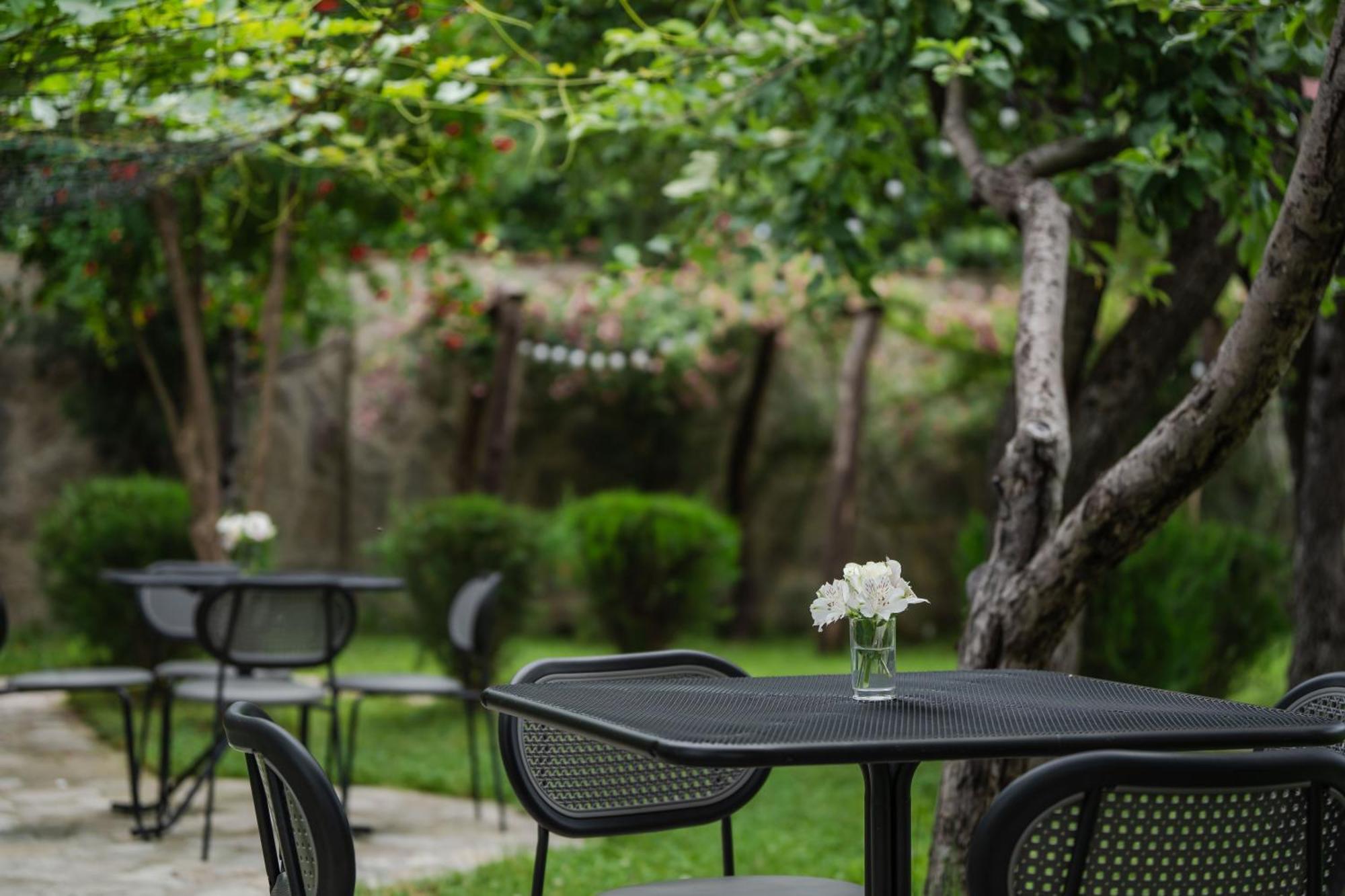 Vineyard Hotel & Winery Napareuli エクステリア 写真